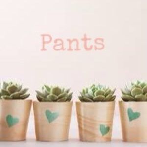 🌿 PANTS COLLECTION 🌿